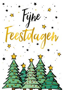 Veilig de feestdagen vieren